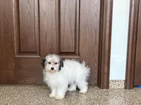 processed/468108b0-b5ce-4c2b-b609-98d2598c0f8a/listing/a3bac6bd-33d2-49e5-916f-576d8535290d/7d67e389-b7fd-4683-82ce-6cad8714bed8