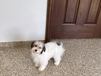 processed/468108b0-b5ce-4c2b-b609-98d2598c0f8a/listing/a3bac6bd-33d2-49e5-916f-576d8535290d/9439773e-3e4e-479e-a07e-bb960cdf056c