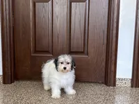 processed/468108b0-b5ce-4c2b-b609-98d2598c0f8a/listing/a3bac6bd-33d2-49e5-916f-576d8535290d/9c03e2e7-19d2-49c4-9aa4-311a16ebcd4f