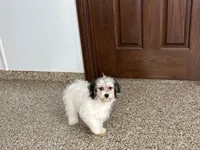 processed/468108b0-b5ce-4c2b-b609-98d2598c0f8a/listing/a3bac6bd-33d2-49e5-916f-576d8535290d/dc094c26-1359-4f85-93f0-13ecaf9661d6