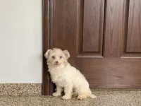 processed/468108b0-b5ce-4c2b-b609-98d2598c0f8a/listing/ad00c01a-bf49-475c-9e3b-c78d3fcb9d51/32005b5c-8b1d-43a6-b38f-f1b0d866d266