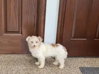 processed/468108b0-b5ce-4c2b-b609-98d2598c0f8a/listing/ad00c01a-bf49-475c-9e3b-c78d3fcb9d51/609a622d-76ba-4dd2-8faa-a0c2f3edd455