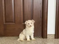 processed/468108b0-b5ce-4c2b-b609-98d2598c0f8a/listing/ad00c01a-bf49-475c-9e3b-c78d3fcb9d51/87ce5034-84ec-4b7d-a10d-14d7c97a44f7