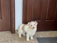 processed/468108b0-b5ce-4c2b-b609-98d2598c0f8a/listing/ad00c01a-bf49-475c-9e3b-c78d3fcb9d51/907d0824-453f-4214-84a7-22cf5a720fc3