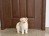 processed/468108b0-b5ce-4c2b-b609-98d2598c0f8a/listing/ad00c01a-bf49-475c-9e3b-c78d3fcb9d51/e9dcdd75-0c8b-4083-9a07-2c8e825419f5