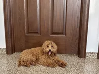 processed/468108b0-b5ce-4c2b-b609-98d2598c0f8a/listing/b0e88c91-801f-474d-95dc-f3c4098560ae/201f4702-22ec-4881-9261-e768e0b8e365