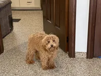 processed/468108b0-b5ce-4c2b-b609-98d2598c0f8a/listing/b0e88c91-801f-474d-95dc-f3c4098560ae/2e1d62c2-533e-4fd1-8db9-48eaeb0bd86a