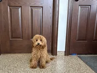 processed/468108b0-b5ce-4c2b-b609-98d2598c0f8a/listing/b0e88c91-801f-474d-95dc-f3c4098560ae/3e3ef605-a802-4c97-a076-29d0b7e5e775