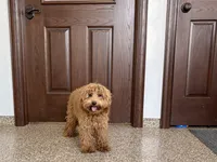 processed/468108b0-b5ce-4c2b-b609-98d2598c0f8a/listing/b0e88c91-801f-474d-95dc-f3c4098560ae/7859370d-d4a1-4017-85b3-e82b4689f673