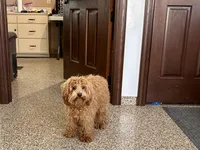 processed/468108b0-b5ce-4c2b-b609-98d2598c0f8a/listing/b0e88c91-801f-474d-95dc-f3c4098560ae/97125f73-e1c2-4fe7-850c-03fa49d8aabf