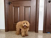 processed/468108b0-b5ce-4c2b-b609-98d2598c0f8a/listing/b0e88c91-801f-474d-95dc-f3c4098560ae/a762cc03-d600-4624-9f07-f5c7787cf0b8