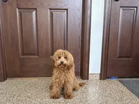 processed/468108b0-b5ce-4c2b-b609-98d2598c0f8a/listing/b0e88c91-801f-474d-95dc-f3c4098560ae/af25285f-c58f-47e0-a12f-675083d4423c