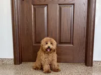 processed/468108b0-b5ce-4c2b-b609-98d2598c0f8a/listing/b0e88c91-801f-474d-95dc-f3c4098560ae/b2e563c2-bda5-4cb4-9aa4-0753530dc319