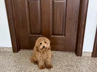 processed/468108b0-b5ce-4c2b-b609-98d2598c0f8a/listing/b0e88c91-801f-474d-95dc-f3c4098560ae/e20e6780-cc7c-49c5-8f92-7f26ac4e6a2d