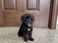 processed/468108b0-b5ce-4c2b-b609-98d2598c0f8a/listing/b197b5f5-d673-47aa-a2fb-1f1f10440c29/5c7d4df9-b9f5-4ecc-8de6-8587146b55b9