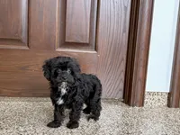 processed/468108b0-b5ce-4c2b-b609-98d2598c0f8a/listing/b197b5f5-d673-47aa-a2fb-1f1f10440c29/608c010d-0b2a-463f-94ee-b3462b894fc2