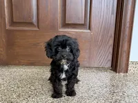 processed/468108b0-b5ce-4c2b-b609-98d2598c0f8a/listing/b197b5f5-d673-47aa-a2fb-1f1f10440c29/6e4ab06e-db65-4dcd-bba5-f436e37d2e20