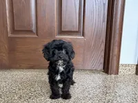 processed/468108b0-b5ce-4c2b-b609-98d2598c0f8a/listing/b197b5f5-d673-47aa-a2fb-1f1f10440c29/8a292361-536b-464a-8e1d-7219f02b35cf