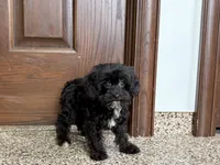 processed/468108b0-b5ce-4c2b-b609-98d2598c0f8a/listing/b197b5f5-d673-47aa-a2fb-1f1f10440c29/d1ddd290-53d2-437a-b84d-9df8bd20be9b