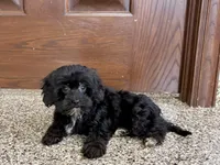 processed/468108b0-b5ce-4c2b-b609-98d2598c0f8a/listing/b197b5f5-d673-47aa-a2fb-1f1f10440c29/e42609f7-430a-4606-84a5-ae88e19f7e0e