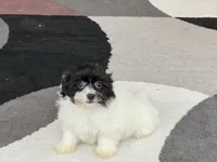 processed/468108b0-b5ce-4c2b-b609-98d2598c0f8a/listing/b2ebd854-36d5-4b79-90ea-dcf3ab1d9d30/000acdd9-0a22-40e5-a290-553a5faaf39a