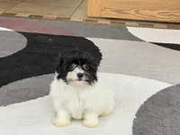 processed/468108b0-b5ce-4c2b-b609-98d2598c0f8a/listing/b2ebd854-36d5-4b79-90ea-dcf3ab1d9d30/131ced65-4a2c-4f52-9fd2-33f655330bf8