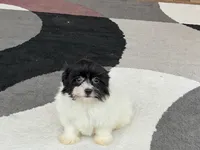 processed/468108b0-b5ce-4c2b-b609-98d2598c0f8a/listing/b2ebd854-36d5-4b79-90ea-dcf3ab1d9d30/2fe1e100-b88a-48aa-9122-20aad66a153e