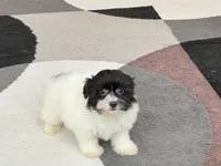 processed/468108b0-b5ce-4c2b-b609-98d2598c0f8a/listing/b2ebd854-36d5-4b79-90ea-dcf3ab1d9d30/6153dd9c-ed46-46f4-b491-74c4aa8690e0