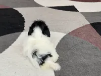 processed/468108b0-b5ce-4c2b-b609-98d2598c0f8a/listing/b2ebd854-36d5-4b79-90ea-dcf3ab1d9d30/6e4c43a6-1a65-44c4-a3de-3dd5b2754a3f