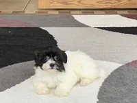 processed/468108b0-b5ce-4c2b-b609-98d2598c0f8a/listing/b2ebd854-36d5-4b79-90ea-dcf3ab1d9d30/a00a4c62-ba75-4235-aeab-3859f7605c73