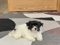 processed/468108b0-b5ce-4c2b-b609-98d2598c0f8a/listing/b2ebd854-36d5-4b79-90ea-dcf3ab1d9d30/b9edbdae-0fac-48bc-90ae-17183f32b6e8