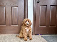 processed/468108b0-b5ce-4c2b-b609-98d2598c0f8a/listing/b68a6a9e-f922-438e-8b3f-f0ec31b5caf5/14c1f6e9-1a08-406b-8eb2-9b9fe33e5467