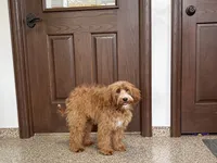 processed/468108b0-b5ce-4c2b-b609-98d2598c0f8a/listing/b68a6a9e-f922-438e-8b3f-f0ec31b5caf5/32c08d11-b62a-4124-93ab-22abda98cce1