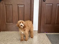 processed/468108b0-b5ce-4c2b-b609-98d2598c0f8a/listing/b68a6a9e-f922-438e-8b3f-f0ec31b5caf5/3a06542d-e92c-4a61-9217-153e36cf3a81