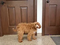 processed/468108b0-b5ce-4c2b-b609-98d2598c0f8a/listing/b68a6a9e-f922-438e-8b3f-f0ec31b5caf5/491e4632-4de7-481c-9772-57477f21f8ea