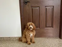 processed/468108b0-b5ce-4c2b-b609-98d2598c0f8a/listing/b68a6a9e-f922-438e-8b3f-f0ec31b5caf5/5b1551d1-a8ea-403b-a65f-498eff7e5fee