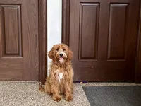 processed/468108b0-b5ce-4c2b-b609-98d2598c0f8a/listing/b68a6a9e-f922-438e-8b3f-f0ec31b5caf5/770ced60-a461-49ea-b0cd-d04e46b047d7