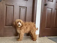 processed/468108b0-b5ce-4c2b-b609-98d2598c0f8a/listing/b68a6a9e-f922-438e-8b3f-f0ec31b5caf5/f90946c6-8db4-46bf-99c4-0f4731a195f3