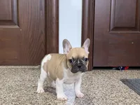 processed/468108b0-b5ce-4c2b-b609-98d2598c0f8a/listing/c56a78be-2d02-4eae-9aa1-93411d00cc9d/19e7fbd0-3845-4eb7-bce8-89b29d3891a5