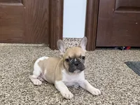 processed/468108b0-b5ce-4c2b-b609-98d2598c0f8a/listing/c56a78be-2d02-4eae-9aa1-93411d00cc9d/ac6cb3e3-9e8a-42b5-b08b-2a46b594c58a