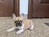 processed/468108b0-b5ce-4c2b-b609-98d2598c0f8a/listing/c56a78be-2d02-4eae-9aa1-93411d00cc9d/eac27f53-5dee-4d17-b5f9-6ee2a9575d16