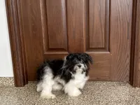 processed/468108b0-b5ce-4c2b-b609-98d2598c0f8a/listing/cea6fb0b-781c-4256-9a0f-94ca851a462c/6fbe0f3d-943c-43af-871d-9f1ca7977d3d