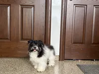 processed/468108b0-b5ce-4c2b-b609-98d2598c0f8a/listing/cea6fb0b-781c-4256-9a0f-94ca851a462c/7cbfbcaf-57be-4275-a6d8-c16118d1c60b