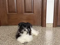 processed/468108b0-b5ce-4c2b-b609-98d2598c0f8a/listing/cea6fb0b-781c-4256-9a0f-94ca851a462c/89bfc43a-7ce9-43eb-becd-0f7dba6aaec8