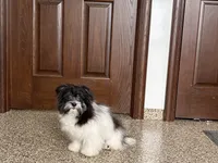 processed/468108b0-b5ce-4c2b-b609-98d2598c0f8a/listing/cea6fb0b-781c-4256-9a0f-94ca851a462c/8da93e8b-427c-4919-bb9c-d5c6341671ec