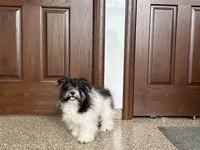 processed/468108b0-b5ce-4c2b-b609-98d2598c0f8a/listing/cea6fb0b-781c-4256-9a0f-94ca851a462c/9cefdedd-4d08-4368-900b-b0d7073800c3