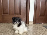 processed/468108b0-b5ce-4c2b-b609-98d2598c0f8a/listing/cea6fb0b-781c-4256-9a0f-94ca851a462c/af6cf48c-20a9-409b-8be9-0b424ace60a2