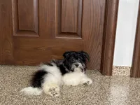 processed/468108b0-b5ce-4c2b-b609-98d2598c0f8a/listing/cea6fb0b-781c-4256-9a0f-94ca851a462c/e67cda29-e7e0-4d16-ba79-b12e9dd4013d