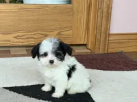 processed/468108b0-b5ce-4c2b-b609-98d2598c0f8a/listing/d9ca25ec-54b2-4a79-a27a-713975de3c0f/1873e5bd-12d0-4bf7-81f4-e6e4efcc7c92