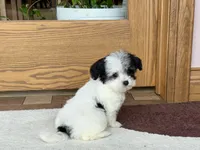 processed/468108b0-b5ce-4c2b-b609-98d2598c0f8a/listing/d9ca25ec-54b2-4a79-a27a-713975de3c0f/b0647a8f-7380-4881-abe2-dd8bedf4be98